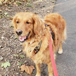 Meet your Posher, Soo